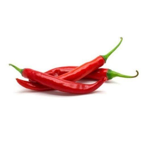 Solid Non Dried Spicy Fresh Red Chilli