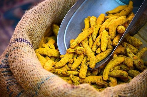 Yellow Organic Dried Good Quality Turmeric Finger