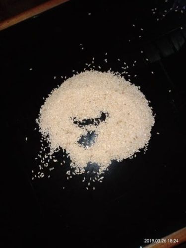 Slender Shape Natural Joha Rice Grain