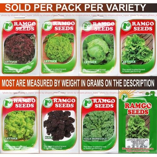 Top Quality Romaine Lettuce Seeds For Planting