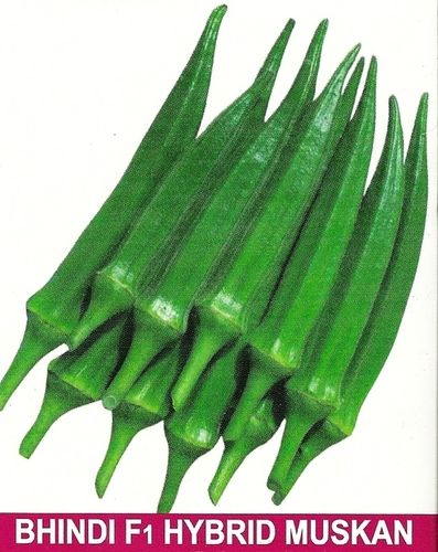 Muskan Hybrid Okra Seed