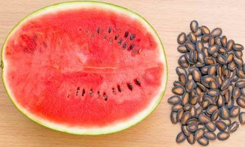 Organic New Crop Watermelon Seed