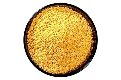 Organic Whole Dried Yellow Sorghum Jowar