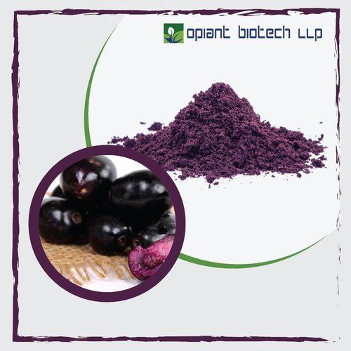 Common Premium Fresh Spray Dried Jamun Powder