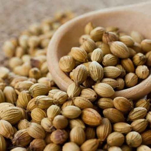 Green Pure And Hygienic Good Quality Coriander Seeds