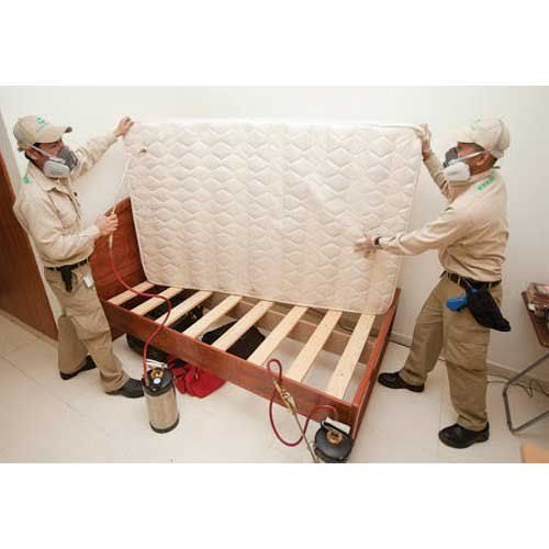 Automatic Bed Bugs Pest Control Services