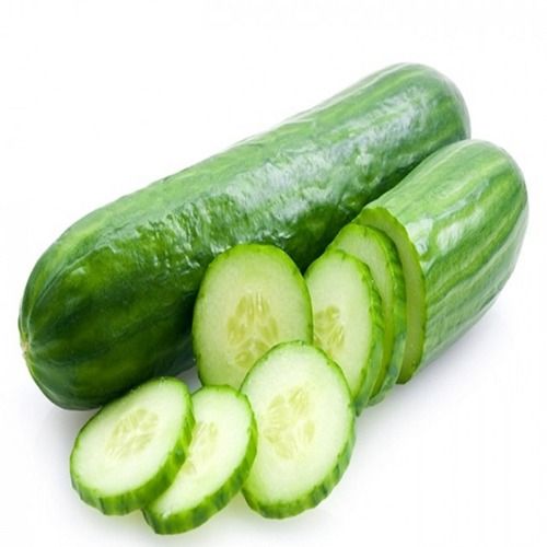 Good Quality Organic Fresh Cucumber Preserving Compound: No Preservatives