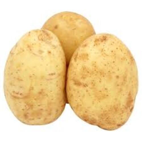 Round & Oval Healthy And Natural Organic Fresh Potato With Pack Size 40-50Kg