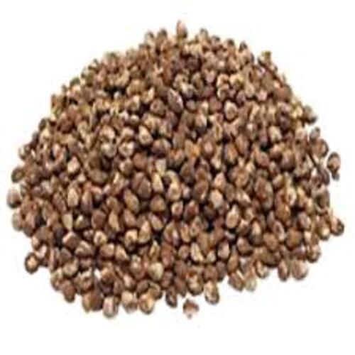Hybrid FDA Certified Purity 99% Brown Dried Potato Seeds