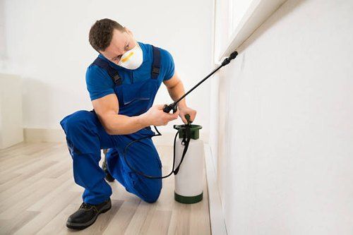 Indoor Pest Control Services By NATION TECHNO PEST CONTROL