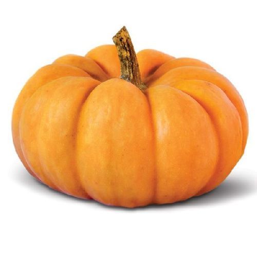 Round & Oval Pesticide Free High Nutritive Value Healthy And Natural Fresh Pumpkin