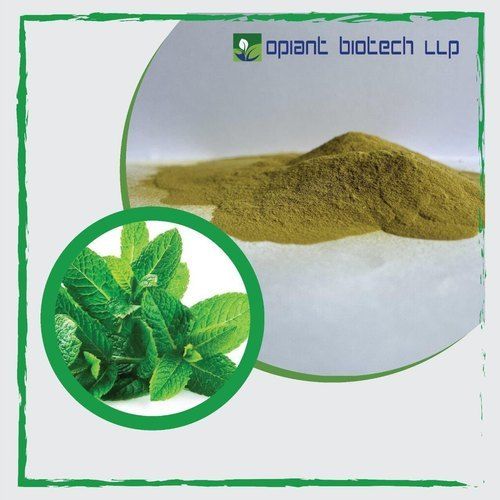 Premium Spray Dried Mint Powder