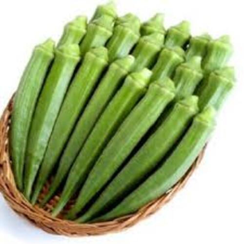 Size 5-6cm Organic Healthy Green Fresh Ladies Finger