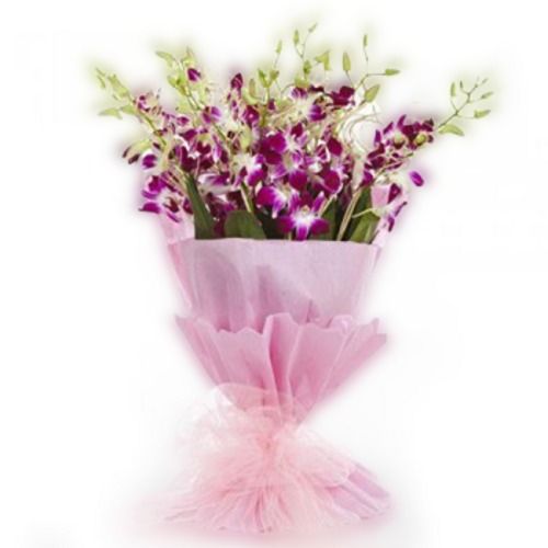 Attractive And Beautiful Purple Orchid Flowers With Pink Cloth Pot For Home And Office Decoration