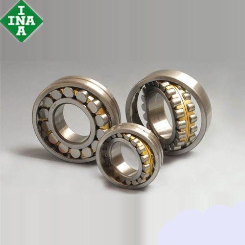 Chromium Steel INA Cylindrical Roller Bearing