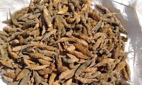 Dehydrated Dried Bitter Gourd