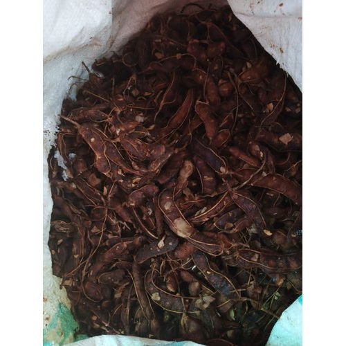 Seeded Tamarind