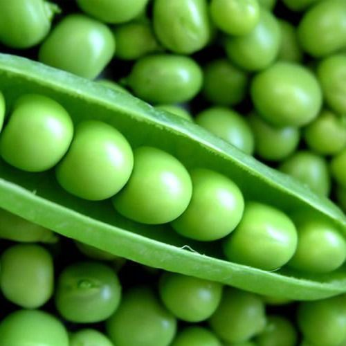 Specifically Natural Cultivation Organic Whole A Grade Long Type Green Peas