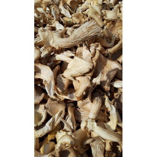 Brown Color Blend Dried Mushroom