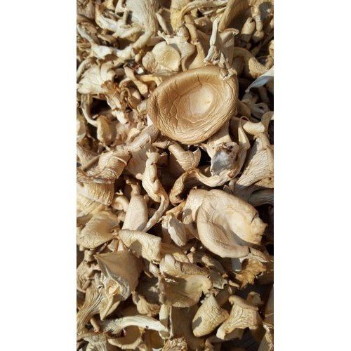 High Nutritional Value Dried Mushroom