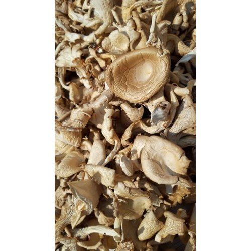 Brown High Nutritional Value Dried Mushroom