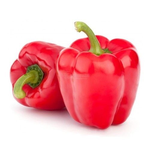 Natural and Healthy Fresh Red Capsicum packed in Jute Bag