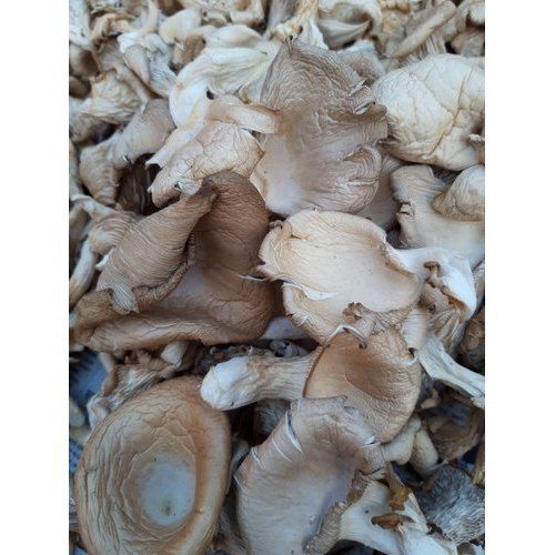 No Artificial Flavour Dry Oyster Mushroom