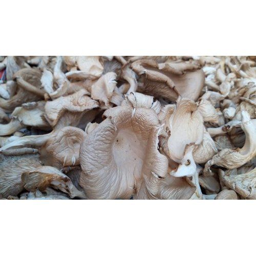 No Artificial Flavour Organic Mushroom Spawn Texture: Dried