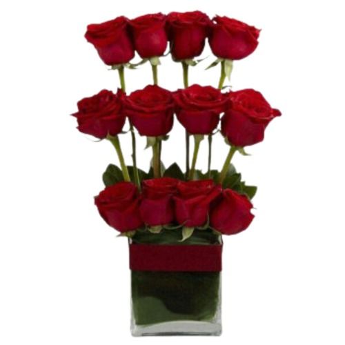 Organic Natural Fresh A Grade Red Roses Creatively Arranged In Bunch For Gifting Someone In Special Occasion Shelf Life: 7 To 10 Days