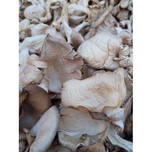 Brown Premium Organic Dry Oyster Mushroom