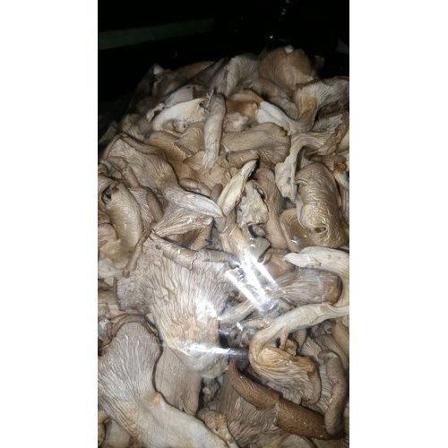 Brown Rich Aroma Organic Mushroom