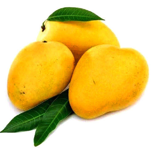 Calories 60/100gms Total Fat 0.4 G/100gms Protein 0.8 G/100gms Healthy Natural Yellow Fresh Mango