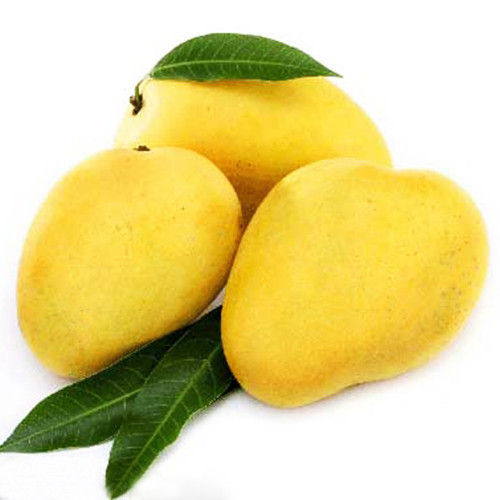 Good in Taste Natural and Healthy Yellow Fresh Chaunsa Mango