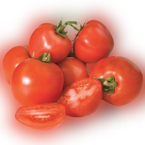 Indian Origin Organically Cultivated And Naturally Fresh A Grade Red Tomatoes