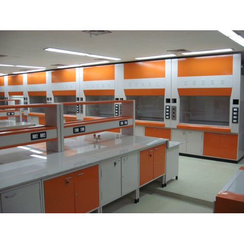 Island Fume Hood Application: Laboratory