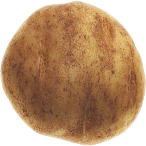 Maturity 100% Pesticide Free Organic Healthy Fresh Potato