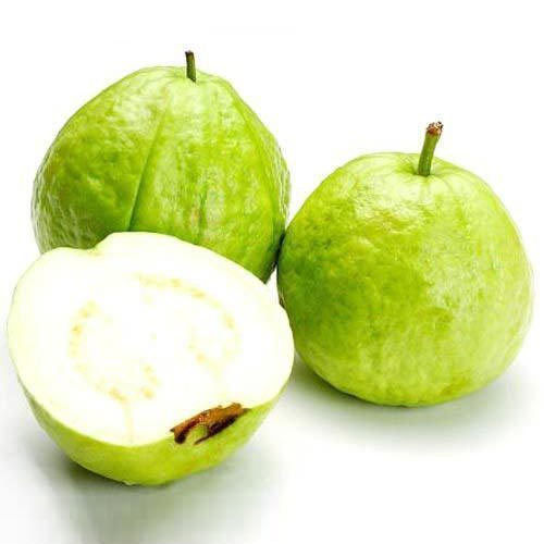 Natural Good in Taste Healthy Green Fresh Guava