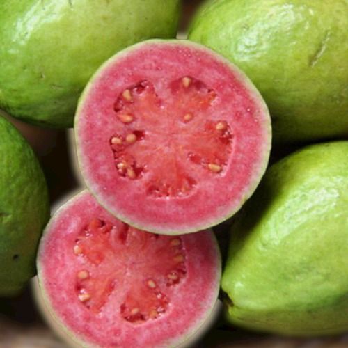 Naturally Clean And Quality Assured Organic Fresh A Grade Red Guava