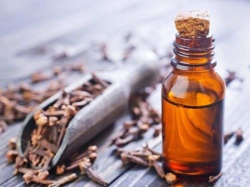 Healthy And Hygienic Good Quality Clove Essential Oil