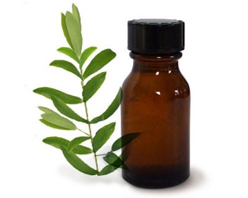 Healthy And Hygienic Good Quality Tea Tree Oil