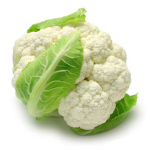Maturity 80% APEDA Certified Healthy and Natural Fresh White Cauliflower
