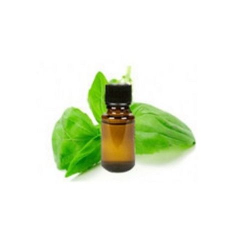 Organic Optimum Quality Basil Oil