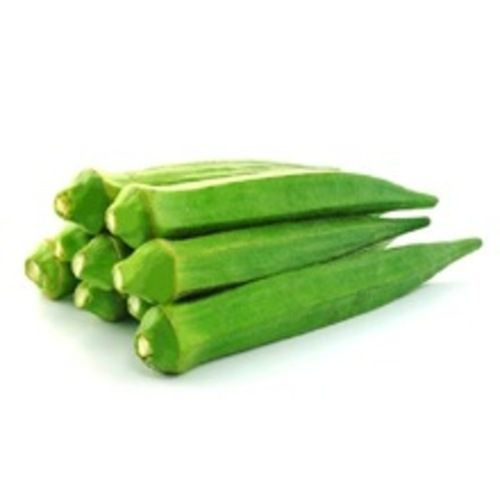 Size (cm) 11cm APEDA Certified Natural Healthy Fresh Green Okra