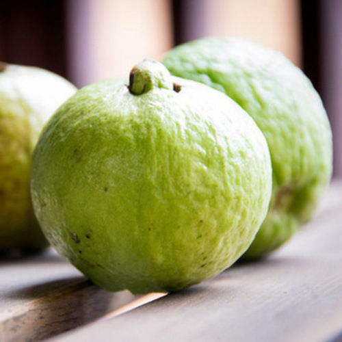 Common Healthy And Natural Sweet Fresh Green Guava Packed In Carton Box