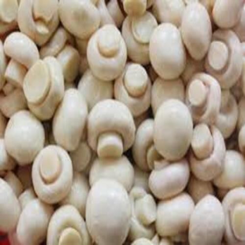 Pesticide Free Rich Protein Natural White Indian Button Mushroom