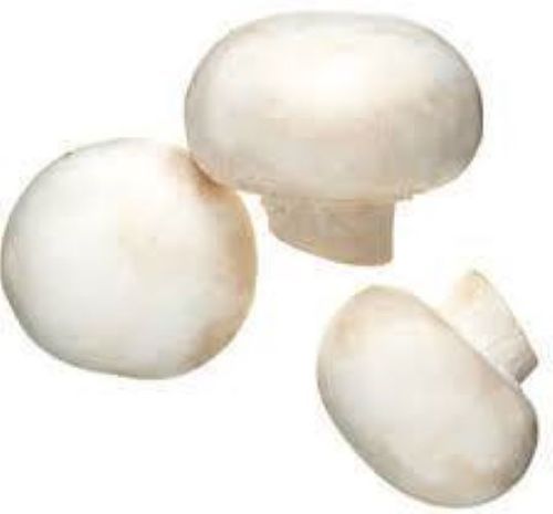 Organic Round Shape Premium White Mushroom