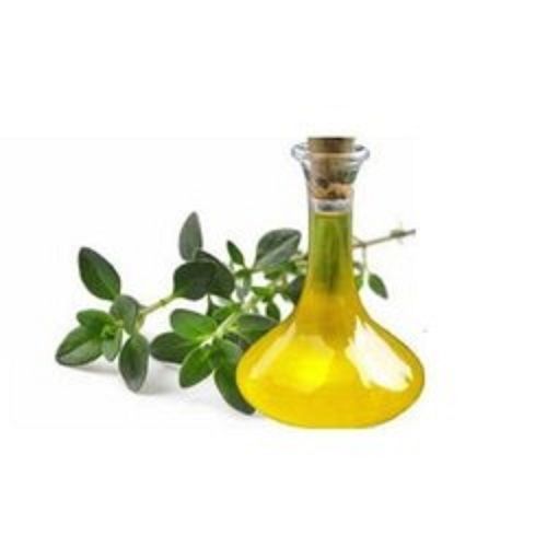 Steam Distilled Good Quality Thyme Oil