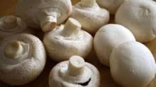 White Color Inorganic Mushroom