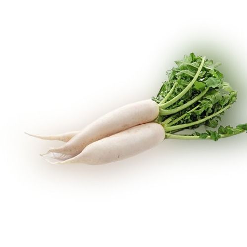 Straight Stick Farmer'S Field Organically Cultivated A Grade Fresh And Juicy Long Radish