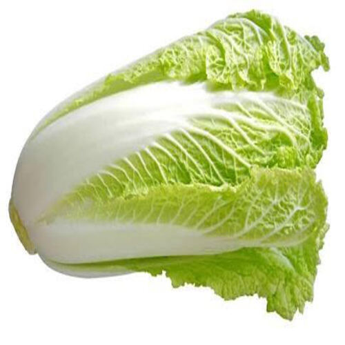 Healthy and Natural Taste Fresh Green Chinese Cabbage